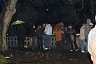 dsc_0208.jpg