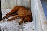 corfu0177.jpg