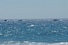 corfu0264.jpg