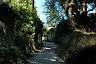 corfu0287.jpg