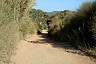 corfu0291.jpg