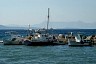 corfu0296.jpg