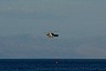 corfu0337.jpg