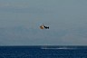 corfu0340.jpg
