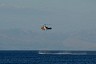 corfu0341.jpg
