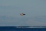 corfu0343.jpg