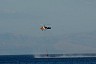 corfu0344.jpg
