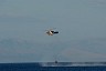 corfu0346.jpg