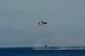 corfu0347.jpg