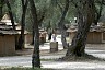 corfu0454.jpg