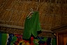 corfu0499.jpg
