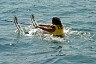 corfu0528.jpg