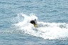 corfu0529.jpg