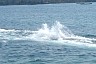 corfu0532.jpg