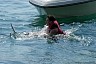 corfu0540.jpg