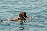 corfu0541.jpg