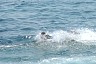 corfu0546.jpg