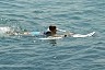 corfu0547.jpg
